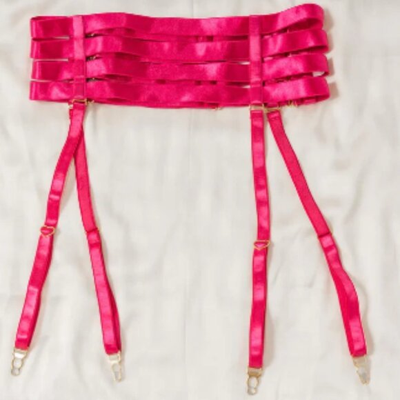 Uye Surana Strappy Waste Cincher Suspender Garter Belt Hot Pink sexy NWT sz M/L - Picture 4 of 4